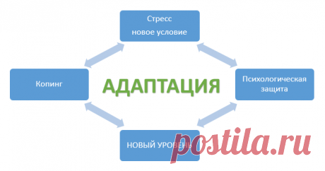 Психологическая адаптация