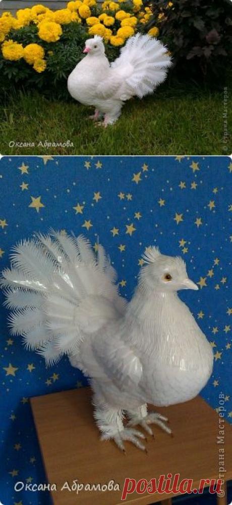 ГОЛУБЬ ( Королевский, павлинохвостый) из пластиковых бутылок | Страна Мастеров