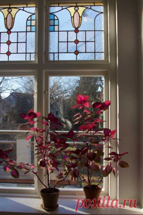 What if winter is not a place outside?