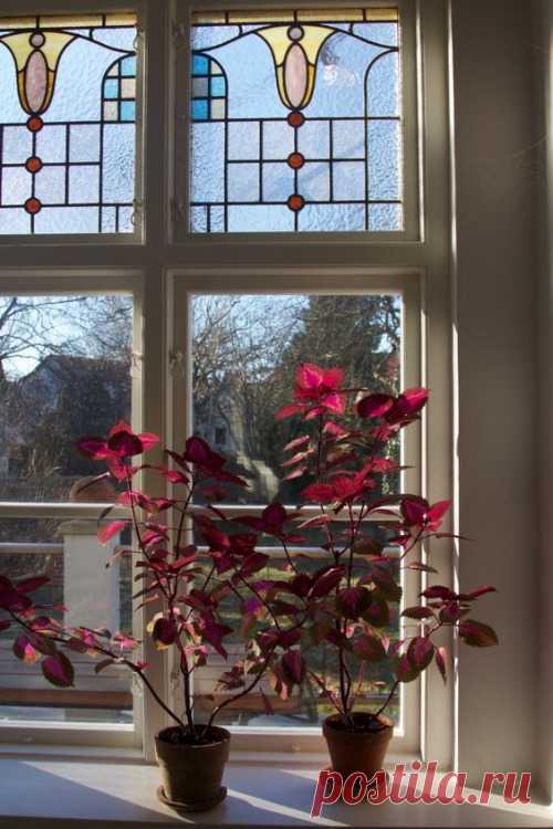 What if winter is not a place outside?