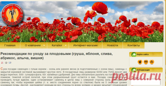 Рекомендации по уходу за плодовыми (груша, яблоня, слива, абрикос, алыча, вишня)