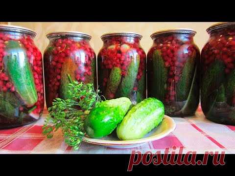 Самые ВКУСНЫЕ ОГУРЦЫ с Красной СМОРОДИНОЙ на ЗИМУ - Простой и Полезный РЕЦЕПТ