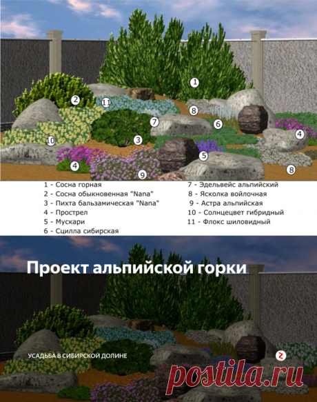 Проект альпийской горки | Усадьба в Сибирской долине | Яндекс Дзен