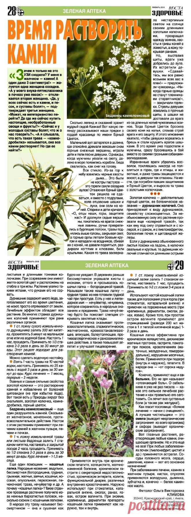 Растения растворяющие камни