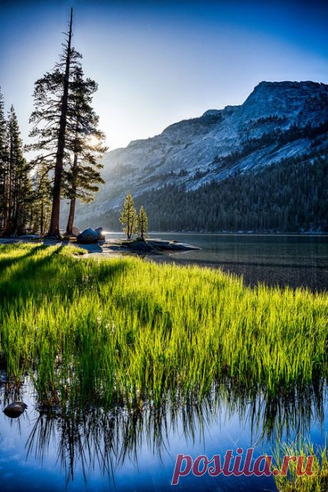 taiga-codex:
“ #nature #landscape
”