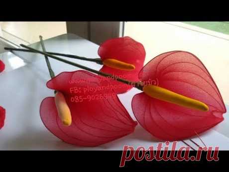 ดอกหน้าวัว (Flamingo Flower)  ดอกไม้แทนความรักความอดทน How to stockingflower  (Flamingo Flower) by p