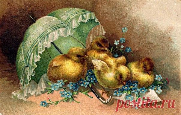 Весна. Пасха. Пасхальные ретро открытки.
Декупаж коллаж. Decoupage collage.
#дизайн #для_декупажа #картинки_для_творчества #декупаж #декор