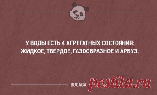 Смешные фразы в картинках с надписями (18 шт) C кем шутки плохи, с тем и всё остальное так себе.
