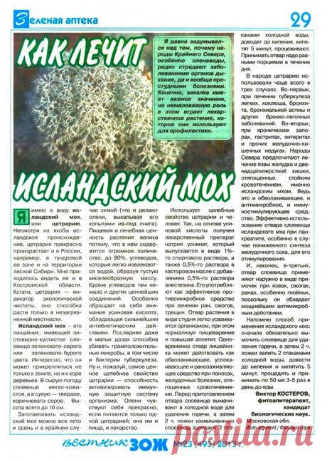 Цетрария или исландский мох, как лечит