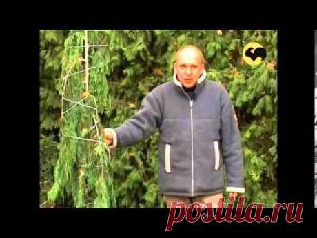 Копия видео Ландшафтные хитрости серия 62
