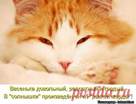 Солнышко