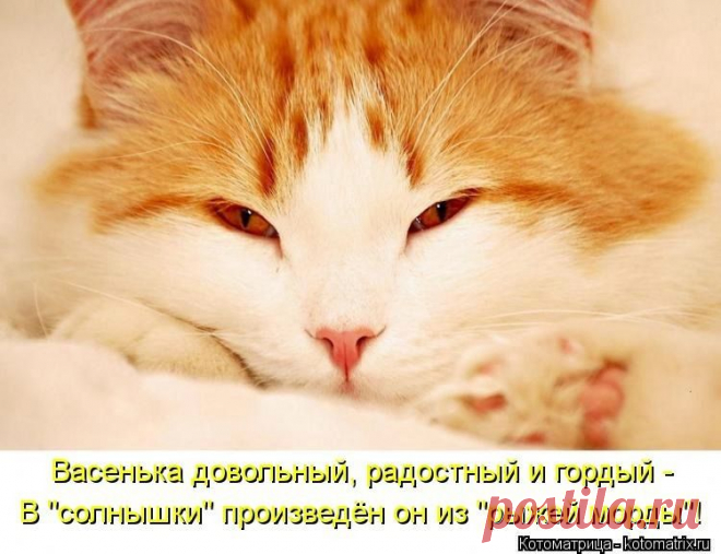 Солнышко