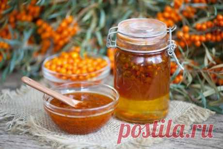 Компот из облепихи с медом на зиму — Домашняя кулинария