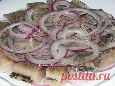 ОЧЕНЬ ВКУСНАЯ СЛАБОСОЛЁНАЯ СЕЛЬДЬ С ГОРЧИЦЕЙ!!! Обязательно попробуйте ! Сохраняйте ! Ингредиенты : 1 литр воды, соль 6 ст. л. сахар 3 ст. л. растительное масло 2 ст. л. сухая горчица 1 ч. л. с горкой французская зерновая горчица (факультативно) перец горошком лавровый лист 3 шт. гвоздика 4 шт.