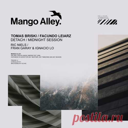 Tomas Briski & Facundo Leiarz – Detach / Midnight Session [ALLEY311] Sharing-DB.club