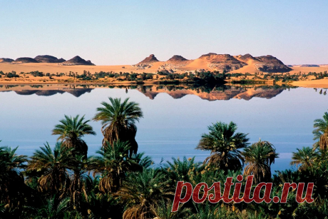 Почему озеро Чад умирает? Что будет с африканским народом?
Красивейшее озеро Чад, раскинувшееся посреди засушливой пустыни Сахара и воспетое русским поэтом Гумилевым, сегодня находится на грани исчезновения.

За последнюю половину столетия природный резервуар стремительно сокращался, в результате чего водоем потерял 95% своей площади!

Уровень воды в одном из крупнейших когда-то озер продолжает снижаться, что несет не только угрозу экологии, но и многомиллионному местному ...