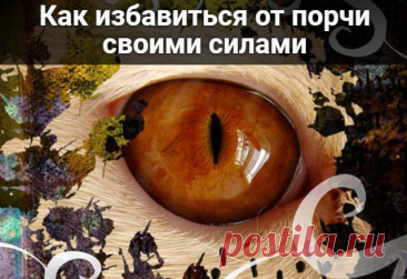 Как избавиться от порчи своими силами — Домашние заботы