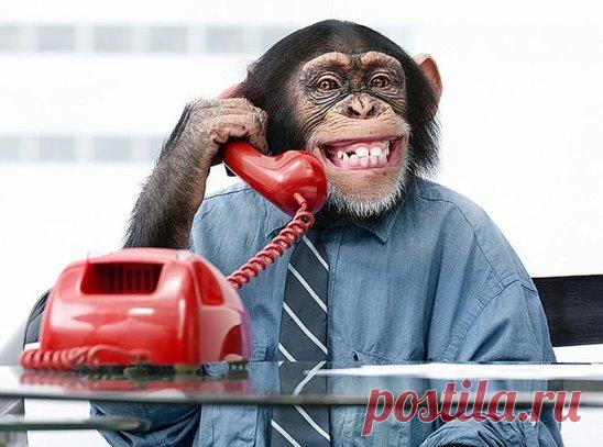 На дворе 21век и все мы понимаем,что интернет стал рабочей площадкой номер один.Каждый день в сети появляются новые и новые бизнес проекты.Наша команда уже зарабатывает более 350 тыс долларов в месяц в интернете, без вложений и без продаж,приглашаем всех на дополнительный доход!http://zy4zy.blogspot.com/