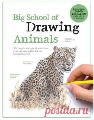 Big School of Drawing Animals 2025