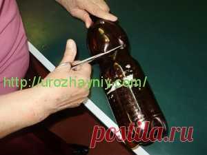 Садовые цветы из пластиковых бутылок. Автор Валентина Иванова | Урожайная дача, интернет журнал, все о даче