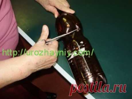 Садовые цветы из пластиковых бутылок. Автор Валентина Иванова | Урожайная дача, интернет журнал, все о даче