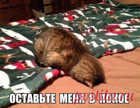 Сохранённые фотографии | 140 фотографий