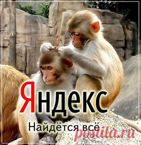 Потянул сигаретку с чашечкой кофе, проснулся и сел за своё рабочее место. Первым делом проверяю почту и вижу самое первое письмо от моего любимого Яшки, который предупреждает меня о потенциальной угрозе исходящей от моего блога и сообщает о том,  что теперь всем пользователям будет выдаваться сообщение типа «Данный ресурс может нанести вред вашему компьютеру».  Ну естественно такое положение вещей меня совсем не обрадовало и я бегом побежал в Яндекс-Вебмастер смотреть где завелись тараканы.