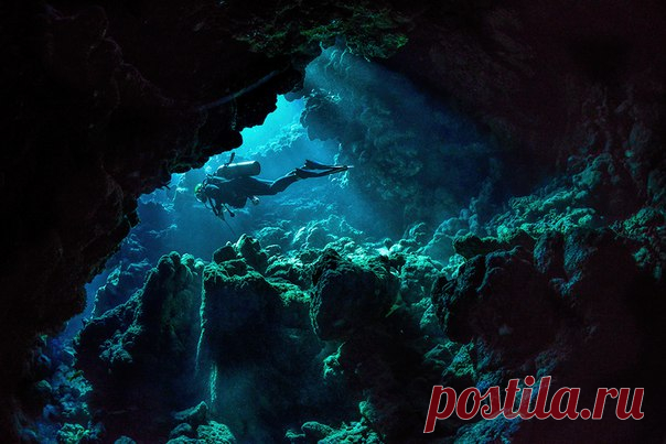 В пещерах Сент-Джонса на Красном море. Автор фото — Оксана Ващук: nat-geo.ru/photo/user/27965/