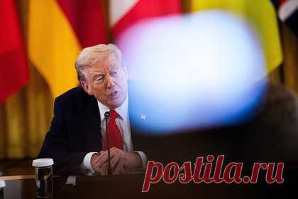 Политолог рассказал о рисках американской дипломатии для Трампа