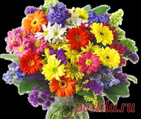 Цветы с кодами для комментариев.