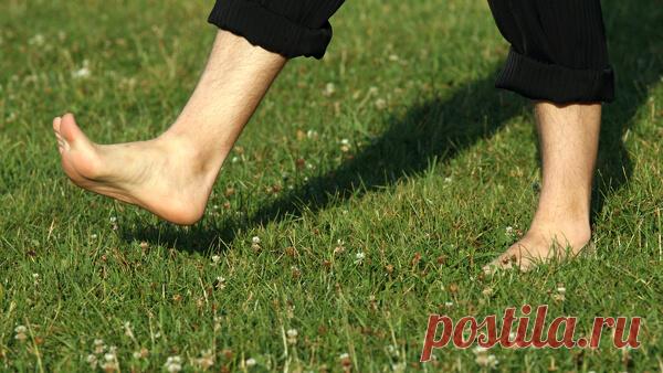 Невероятные преимущества утренних прогулок босиком по траве - Журнал для женщин Приятно и полезно! Заземление или ходьба босиком по траве — отличное упражнение для человеческого тела, которое успокаивает ум, тело и душу. С древних времен ходьба босиком по траве считалась расслабляющей процедурой. Свежая и прекрасная атмосфера, солнечный свет, открытый воздух и звуки птиц подбодрят ваше настроение и ум. Есть ряд удивительных преимуществ ходьбы босиком по траве […]
