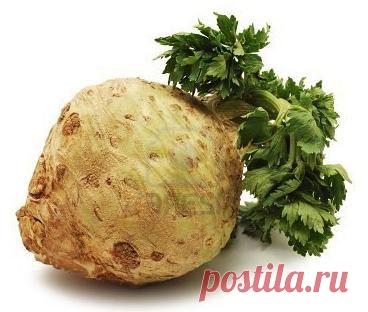 Сельдерей от всех болезней.