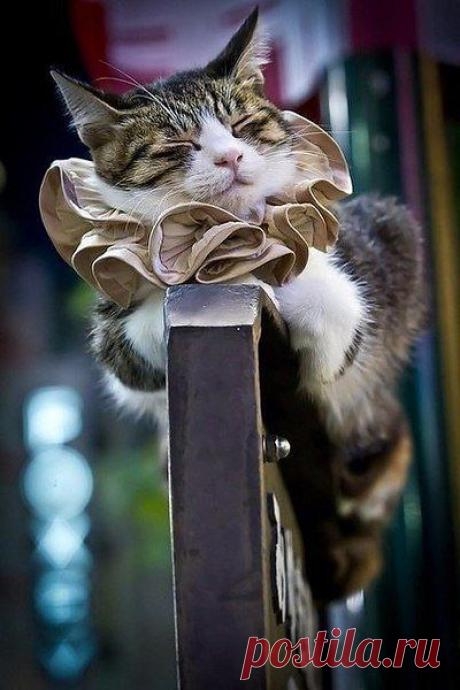 Интересные новости