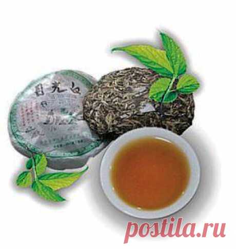 Чай пуэр - полезные свойства