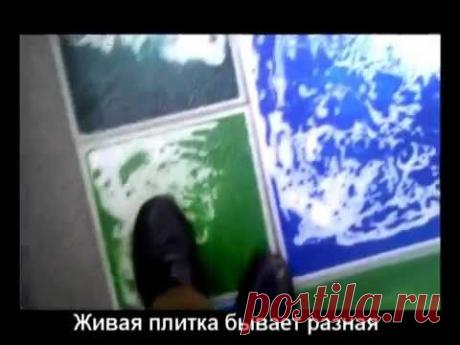 Жидкая "живая" плитка: как она устроена + где ее лучше использовать
