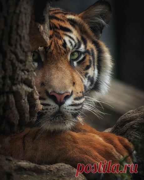 i (1080×1350)