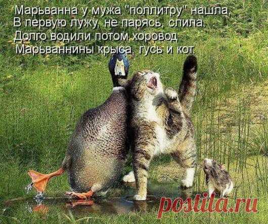 original.jpg (530×442)