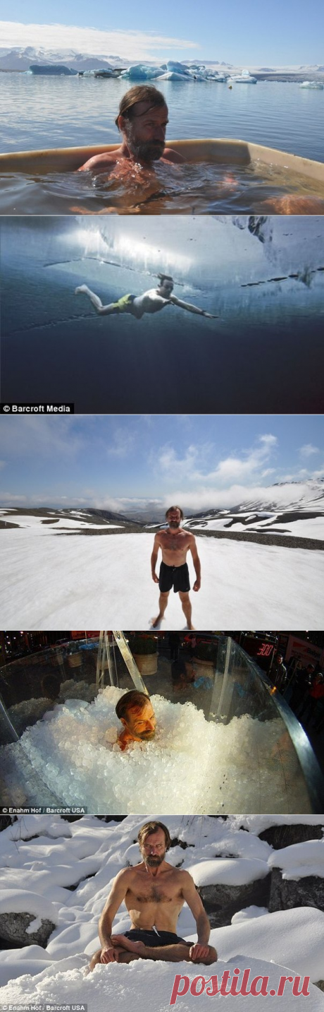 Голландец Вима Хофа вообще не чувствует холода.
При всем этом его организм не страдает от холода, даже в самых экстремальных условиях. Ну, например, он не раз покорял горные вершины в одних трусах, или лежал во льду долгое время.
