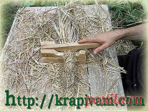 Крапива — сорняк? | krapivam.com