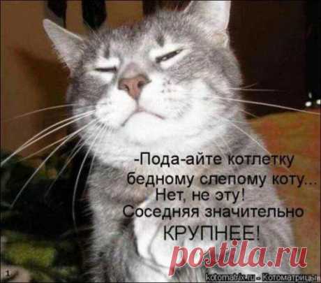 Мой Мир@Mail.Ru