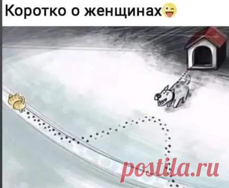 Пришло sms от оператора: общайтесь с друзьями в три раза больше! У меня либо печень откажет, либо из дома выгонят... - Приколисты - медиаплатформа МирТесен