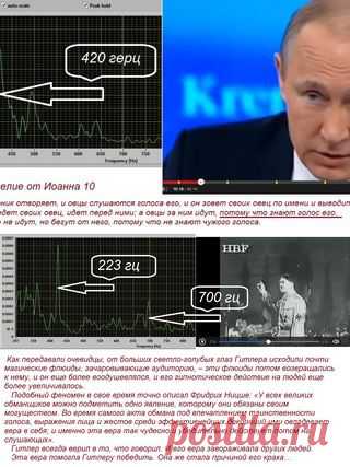 Alexander Suvorov's photos | 7 albums | VK