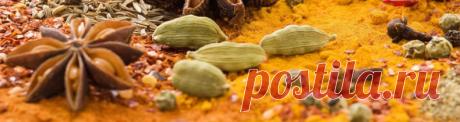 Грибной соус: рецепты грибных соусов, вкусный соус на грибном бульоне