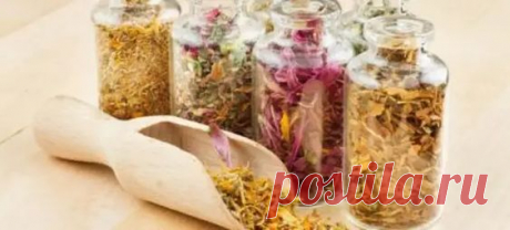 ЗАГОВОР ДЛЯ ОЖИВЛЕНИЯ АПТЕЧ... - блог пользователя Иля Чернова - медиаплатформа МирТесен