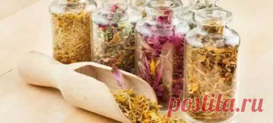 ЗАГОВОР ДЛЯ ОЖИВЛЕНИЯ АПТЕЧ... - блог пользователя Иля Чернова - медиаплатформа МирТесен