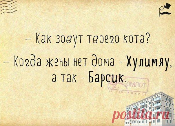 ПРИКОЛЬНЫЕ ФРАЗОЧКИ В КАРТИНКАХ  ДЛЯ ХОРОШЕГО НАСТРОЕНИЯ . Чёрт побери
