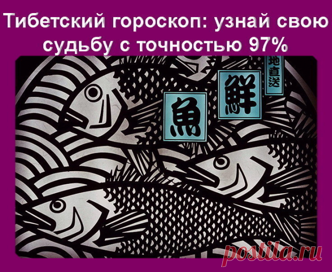 (43) Одноклассники