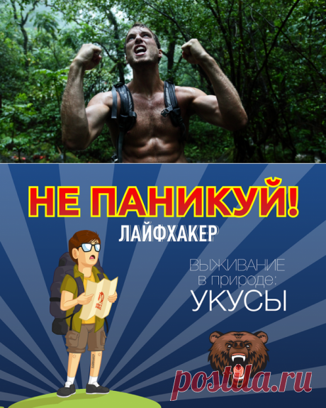 Выживание в экстремальных условиях - Лайфхакер