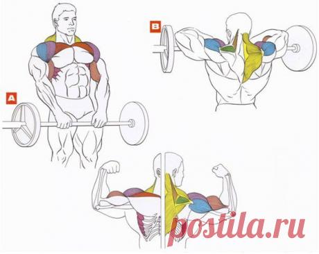 Тяга штанги к подбородку / Спорт Сильных!