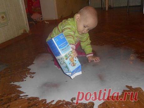 Барсик, иди, я тебе молока налил..... немножко....